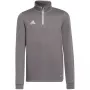adidas Entrada 22 treniruočių megztinis vaikams, pilkas, H57549, 140 dydis