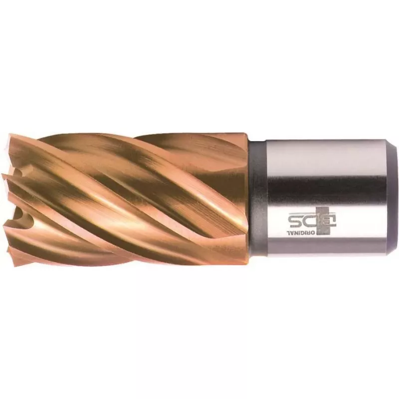 BDS HSS VarioPLUS žiedinis grąžtas 20 mm skersmens, 30 mm gręžimo gylio, Weldon koteliu KBK-VP020