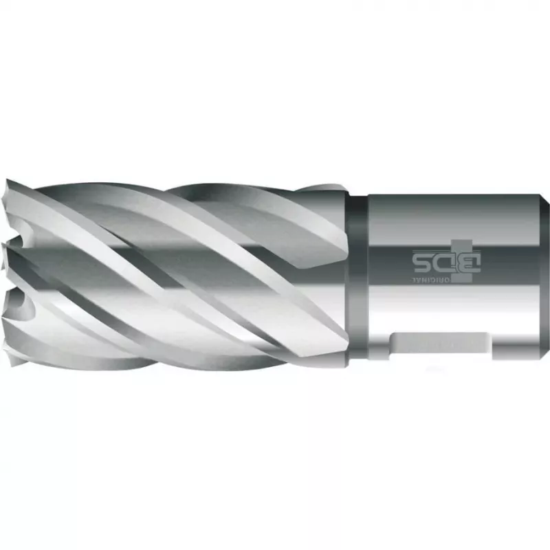 BDS HSS standartinis žiedinis grąžtas 19 mm skersmens, 30 mm gylio, Weldon kotu (KBK-019)