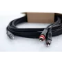 Cordial 14855 3,5 mm stereo jack – 2x RCA audio Y-adapterio kabelis, 1,5 m, juodas