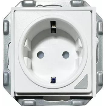 PowerRay WiFi išmanusis lizdas PR-SSO-01, berėmis baltas, 16A, valdymas programėle ir balsu, Type F