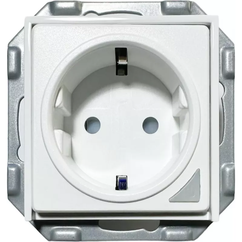 PowerRay WiFi išmanusis lizdas PR-SSO-01, berėmis baltas, 16A, valdymas programėle ir balsu, Type F