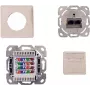 IT-BUDGET SPAR-PACK 10x Cat.6A 2 prievadų RJ45 duomenų lizdas, horizontalus kabelio įvedimas, PoE+, grynai baltas ZAA90ITBDDRW