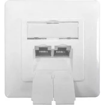 IT-BUDGET Tinklo duomenų lizdas 2x RJ45 female Cat.6A ekranuotas šviesiai baltas įleidžiamas horizontalus PoE+ 90ITBDDSW