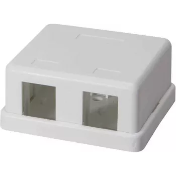 IT-BUDGET paviršinio montavimo duomenų lizdo korpusas 2 x RJ45 Keystone moduliams - baltas 90ITBAKPG2P
