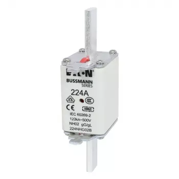 Eaton 100NHG02B NH saugiklis D02 100 A 500 V gG su mechaniniu indikatoriumi, 3 vnt. pakuotė