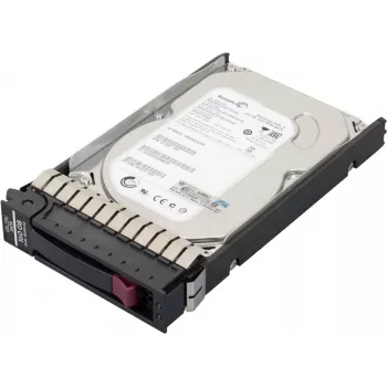 HPE Entry 160GB Hot-Swap 3,5 colio SATA 3Gb/s 7200 RPM kietasis diskas (483095-001)