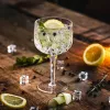 GRAMONTY Premium 6665 stiklinės ilgiesiems gėrimams 540 ml, 12 vnt.