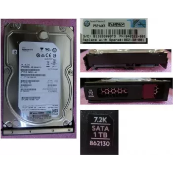 HPE 1TB SATA 6G 7.2K LFF LP kietasis diskas (861686-S21)
