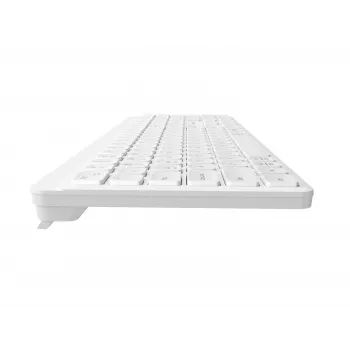NATEC Tang US belaidė Bluetooth + 2,4 GHz tylioji plona klaviatūra, balta