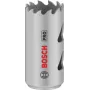 Bosch EXPERT MultiMaterial 24 mm skylėpjūvis 2608901497