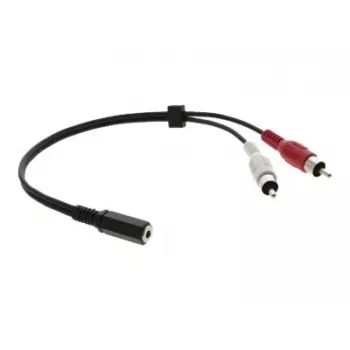 Kramer C-A35F/2RAM-1 audio adapterio kabelis - 3,5 mm lizdas į 2x RCA kištukus, 30 cm, juodas