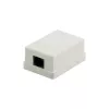 DSIT DS-Wall-Out-UTP5-I paviršinio montavimo Cat5e UTP RJ45 rozetė, dramblio kaulo spalvos