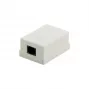 DSIT DS-Wall-Out-UTP5-I paviršinio montavimo Cat5e UTP RJ45 rozetė, dramblio kaulo spalvos