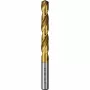 Bosch HSS spiralinis grąžtas 6 mm TiN danga DIN 338 cilindrinis kotas 2609255100