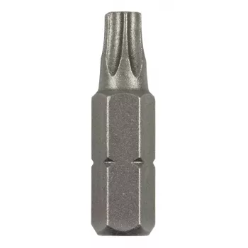 Bosch Torx antgalis T 8 C 6.3, 2 vnt. (2609255931)