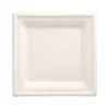 PAPSTAR Pure cukranendrių lėkštė, kvadratinė, 200 x 200 mm, 50 vnt., kompostuojama, tinkama mikrobangų krosnelei 89744
