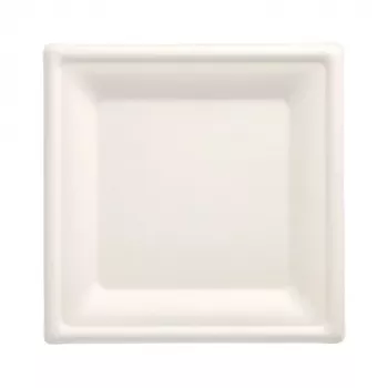 PAPSTAR Pure cukranendrių lėkštė, kvadratinė, 200 x 200 mm, 50 vnt., kompostuojama, tinkama mikrobangų krosnelei 89744