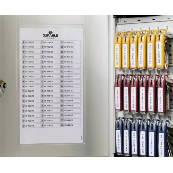 DURABLE KEY BOX 54 raktų spintelė su cilindrine spyna, šviesiai pilka, plieninė, tvirtinama prie sienos 195323