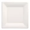 PAPSTAR Pure cukranendrių lėkštė, kvadratinė, 260 x 260 mm, 50 vnt., kompostuojama, tinkama mikrobangų krosnelei 89745