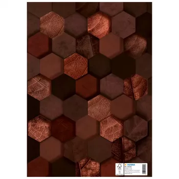 HERMA Heftschoner X, kartoninis viršelis, DIN A4, rudas, su žymėjimo lauku, 10 vienetų (20092)