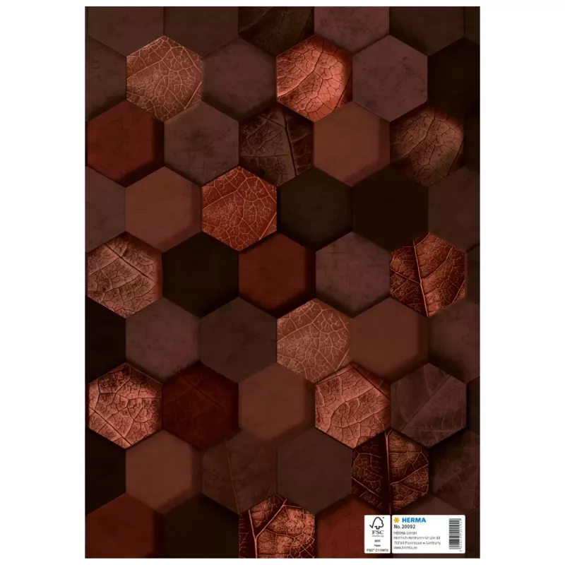 HERMA Heftschoner X, kartoninis viršelis, DIN A4, rudas, su žymėjimo lauku, 10 vienetų (20092)