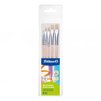 Pelikan Starter Brush Set, 5 šerių šepečiai su medinėmis rankenomis, įvairių dydžių, permatomas dėklas 300008263