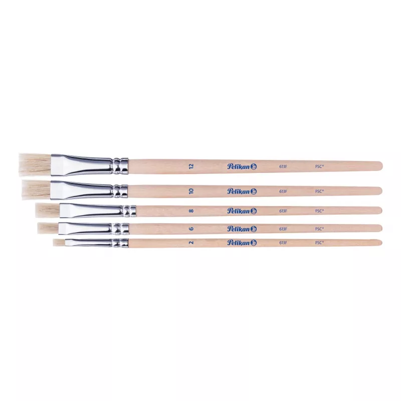 Pelikan Starter Brush Set, 5 šerių šepečiai su medinėmis rankenomis, įvairių dydžių, permatomas dėklas 300008263