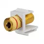 Rutenbeck Keystone garsiakalbio prijungimo adapteris KMK-LS, varžtiniai gnybtai, juodas/raudonas, be įrankių 17000608
