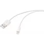 Renkforce USB 2.0 USB-A į Apple Lightning kabelis 1 m, baltas matinis RF-5724084