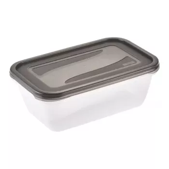 keeeper fredo fresh maisto laikymo indų rinkinys, 2 x 3,3 l, stačiakampiai, permatomi su pilkais dangčiais 3068082700000