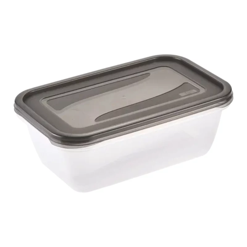 keeeper fredo fresh maisto laikymo indų rinkinys, 2 x 3,3 l, stačiakampiai, permatomi su pilkais dangčiais 3068082700000