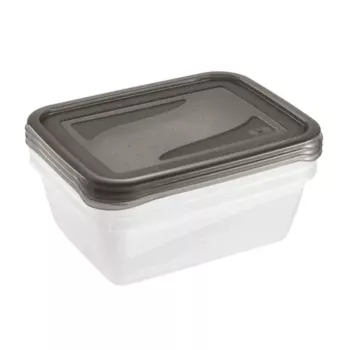 keeeper fredo fresh maisto laikymo indų rinkinys, 3x 1,25 L, stačiakampiai, permatomu pagrindu ir pilku dangteliu 3067582700000
