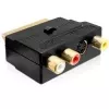 Wentronic Goobay SCART adapteris, SCART vyriškas į 3 RCA moteriškus + 4 kontaktų Mini-DIN moterišką, juodas 50499