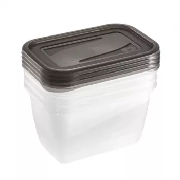 keeeper fredo fresh maisto laikymo indelių rinkinys, 4 x 0,75 L, stačiakampiai, permatomi su pilkais dangteliais 3067382700000