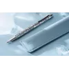Caran d'Ache Ecridor Alpine Frost tušinukas ir mechaninis pieštukas, rinkinys, juodas rašalas, vidutinis, platinuotas CC0890.025