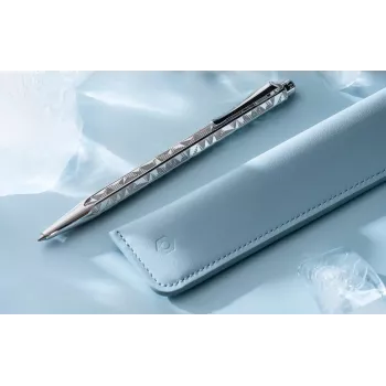 Caran d'Ache Ecridor Alpine Frost tušinukas ir mechaninis pieštukas, rinkinys, juodas rašalas, vidutinis, platinuotas CC0890.025