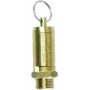 Aerotec suspausto oro apsauginis vožtuvas 1/2 colio, 10 bar, žalvarinis 9049104