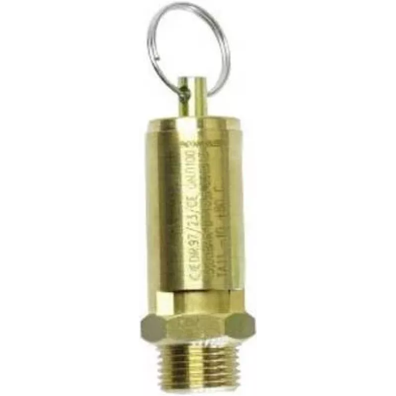 Aerotec suspausto oro apsauginis vožtuvas 1/2 colio, 10 bar, žalvarinis 9049104