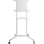 PureLink PureMounts mobilus TV stovas, baltas (PM-CART-80W)
