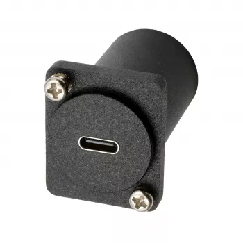 EXSYS EX-49172 D-Type adapteris USB-C (moteriškas) į DisplayPort (moteriškas)