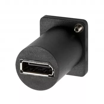 EXSYS EX-49172 D-Type adapteris USB-C (moteriškas) į DisplayPort (moteriškas)