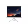 celexon Economy projektorinis ekranas ant trikojo 133 x 133 cm White Edition
