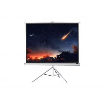 celexon Economy projektorinis ekranas ant trikojo 133 x 133 cm White Edition