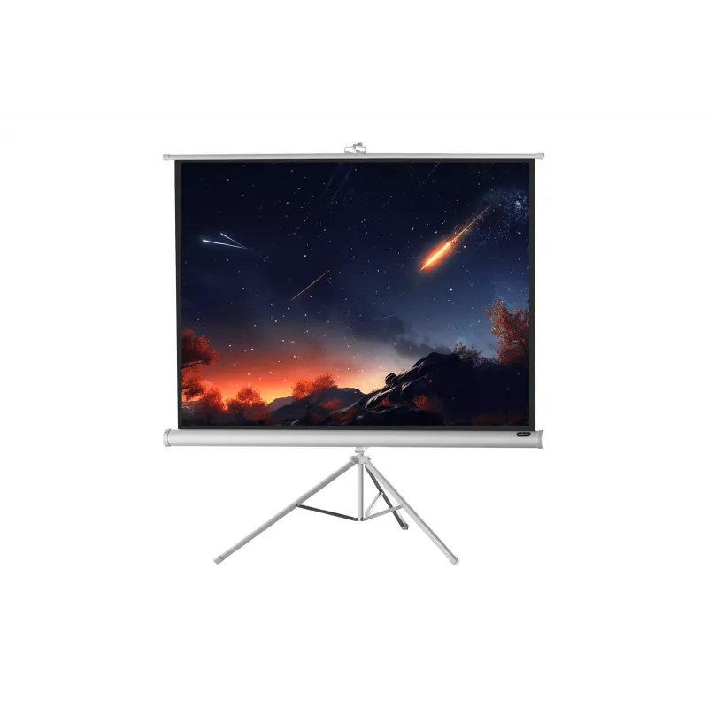 celexon Economy projektorinis ekranas ant trikojo 133 x 133 cm White Edition