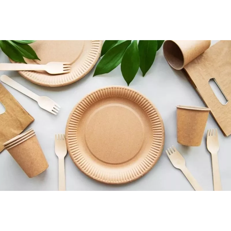 GOGREEN Kraft Paper Plates Go Green Ø22cm 20 vnt.