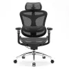 SIHOO DORO C300 Pro ergonomiška biuro kėdė su tinkleliu, juoda