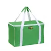 GIOSTYLE Termo krepšys Evo Square Assorted, žalias/raudonas/mėlynas su dekoru, 15 L