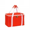 GIOSTYLE Termo krepšys Evo Square Assorted, žalias/raudonas/mėlynas su dekoru, 15 L