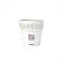 STEFANPLAST Gaia gėlių vazonas su padėklu Ø20x19cm Baltas